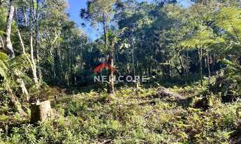 Imagem 2: Lote em Avenida Chimango - Colinas - São Francisco de Paula/RS