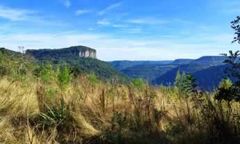 Imagem: Sítio / Chácara para Venda em Nova Petrópolis