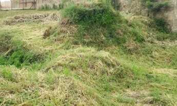 Imagem 6: Terreno à venda, 420 m² por R$ 280.000,00 - Vila Olímpica - Uberaba/MG