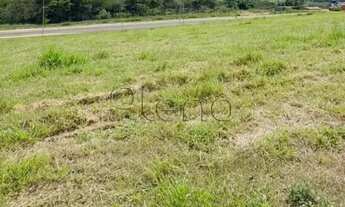 Imagem 4: Terreno à venda no Loteamento Alphaville Campinas, Campinas