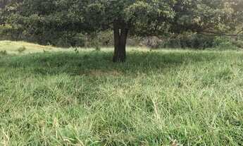 Imagem 4: Sítio Heitorai Chácara com venda por R$1.100