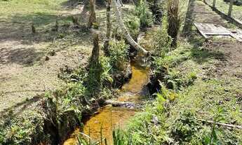 Imagem 7: Chácara à venda, TABATINGA, TIJUCAS DO SUL - PR