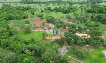 Imagem 3: Chácara 2 alqueires e 4 litros (9,7 hectares) Cezarina - Go