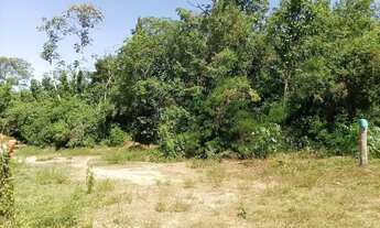 Imagem 7: Chácara pesqueira medindo 160 x 30 (4.800 M²), nas margens do rio CuiabáMT