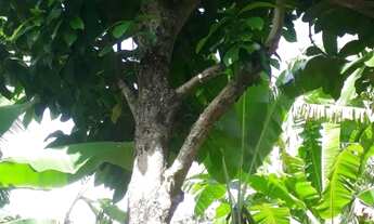 Imagem 3: Vendo essa casa Casa com 1 dormitório