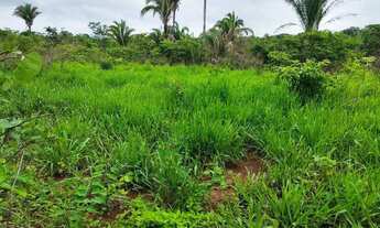 Imagem 3: VENDO!!! Uma fazenda de 290 hectares na beira do rio manso com 400 metros de mar