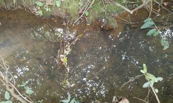 Imagem 7: VENDE-SE UM TERRENO NO MUNICÍPIO DE FUNILÂNDIA