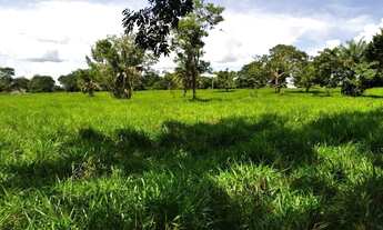 Imagem 5: Imóvel para venda possui 2807200 metros quadrados com 3 quartos em Zona Rural - Jussara