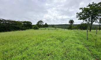 Imagem: VENDO TERRA 1.5 Alqueires - Araçu Goiás