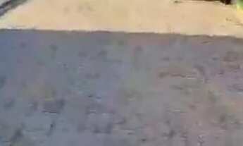 Imagem: Terreno canta galo