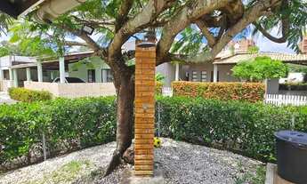 Imagem 5: San Diego, Aruana [132