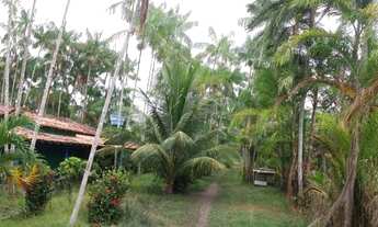 Imagem: Sitio no cupiuba em Castanhal com 125x450