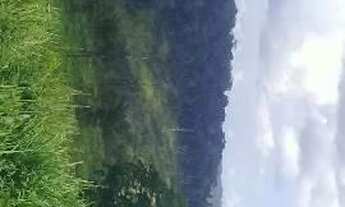 Imagem 3: Vendo Fazenda No município de Uruara no km224 sul a 15 km da BR 230 tranzamazõnica