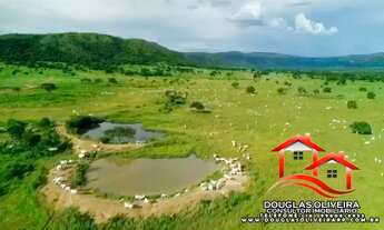 Imagem 3: Fazenda 1.750 alqueirão ( 8.470 Hectares ) Região de Alvorada do Norte -GO