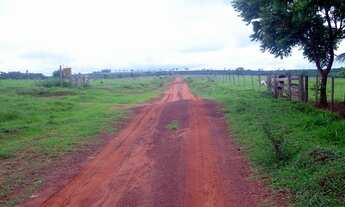 Imagem 7: 648 Alqueires em Doverlandia Go