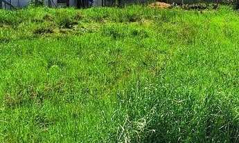 Imagem 7: Lote/Terreno a venda no Centro em Urubici