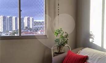 Imagem 5: São Paulo - Apartamento Padrão - Vila Guarani