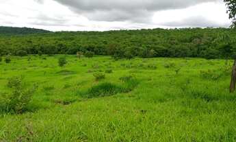 Imagem 7: Chácara em mairipotaba a 80 km de Goiânia com corrego energia chacaras 20.000 metros