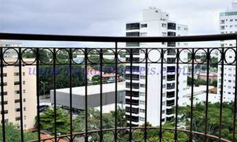 Imagem 4: Moema pássaros pertinho de tudo