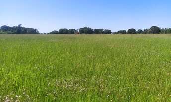 Imagem: Chacara em Guapo 15 mil de entrada a 35