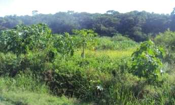 Imagem 3: Terreno para Venda em Saquarema, Jardim