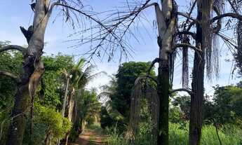 Imagem 6: Domínio sobre terreno 5.005m², c/ casa, edicula, galpões e estufas, Bauru/SP