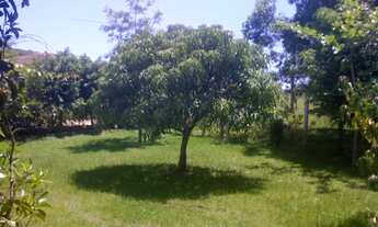 Imagem 6: Linda casa próxima a entrada da Praia do Rosa