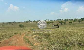 Imagem 6: Venda - Fazenda - Alvorada D'Oeste - Alvorada