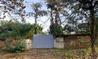 Imagem 1: Domínio sobre terreno 5.005m², c/ casa, edicula, galpões e estufas, Bauru/SP