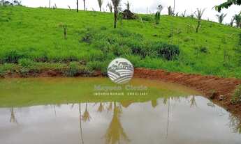 Imagem 2: Venda - Sítio - Vale do Anari - Vale do Anari