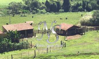 Imagem 5: SITIO DE 8 HECTARES OU 3,10 ALQUEIRES EM JAU-SP