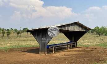 Imagem 7: Venda - Fazenda - Alvorada D'Oeste - Alvorada