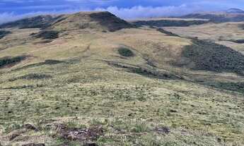 Imagem 5: Urubici/Sítio/Chácara á venda em Urubici
