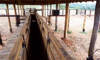 Imagem 7: FAZENDA 256 ALQUEIRES