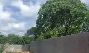 Imagem 5: Lote/Terreno para venda tem 1000 metros quadrados em Itacimirim - Camaçari - Bahia