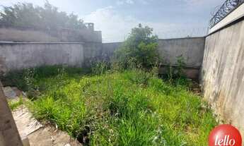 Imagem 6: São Paulo - Casa Padrão - Santana