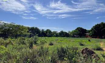 Imagem 3: FAZENDA À VENDA EM LIZARDA - TO - 2.000 HECTARES (DUPLA APTIDÃO