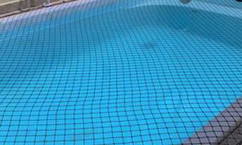 Imagem: Aluga se casa para o São João