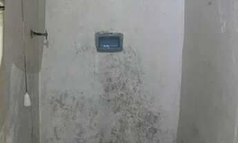 Imagem 6: São Paulo - Casa Padrão - Água Rasa