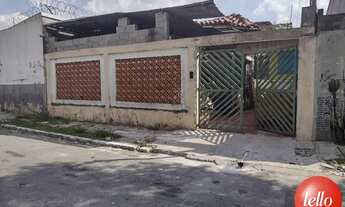 Imagem 2: São Paulo - Terreno Padrão - Ipiranga