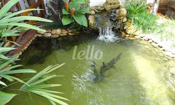 Imagem 3: São Paulo - Casa Padrão - Vila Prudente