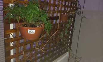 Imagem 6: Alugo casa 3 cômodos