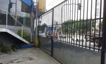 Imagem 6: São Paulo - Galpão/Depósito/Armazém - Mooca