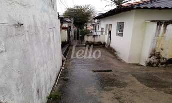 Imagem 5: São Paulo - Terreno Padrão - Vila Prudente