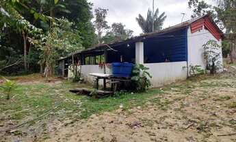 Imagem 4: Sítio pau rosa Chácara com venda por R$30