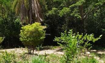 Imagem 6: Lindo Sítio em Curralinho