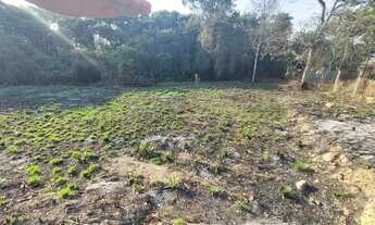 Imagem 2: Sitio de 1000M em areias divisa com Pedro Leopoldo, oportunidade