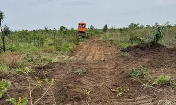 Imagem 6: Fazenda 8 mil hect em tangará da serra MT. Média 250 milhões