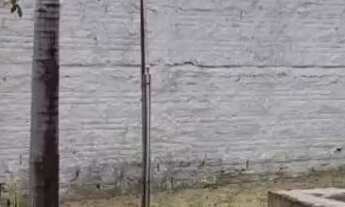 Imagem 3: Casa aluguel Casa com 2 dormitórios