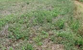 Imagem 3: Chácara 21.mil metros